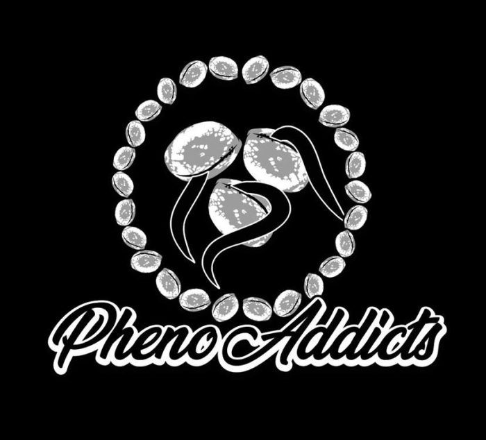 PHENO ADDICTS GENETICS SEEDS ONLINE