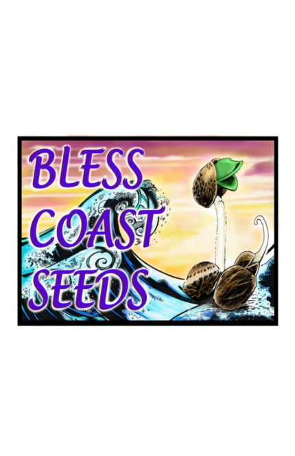 Bless Coast seeds online