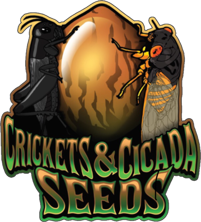 Crickets and Cicadas Seeds online