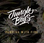 BUY Wild OG CANNABIS SEEDS ONLINE 