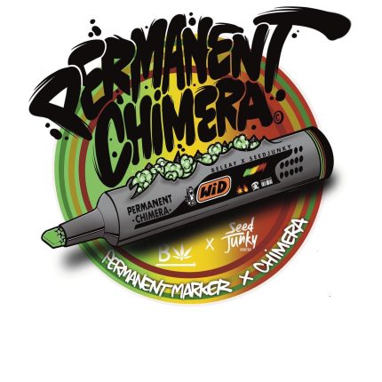 BUY PERMANENT CHIMERA FEMINIZED SEED
