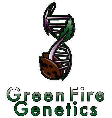 Where To Buy Green Fire Genetics Seeds