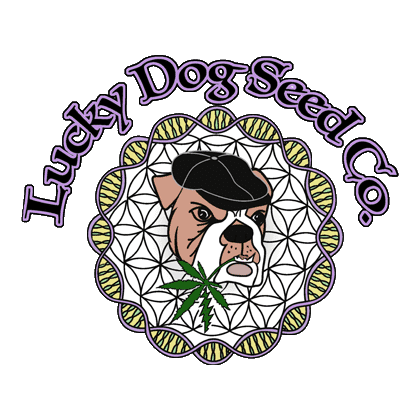 Lucky Dog Seed Company